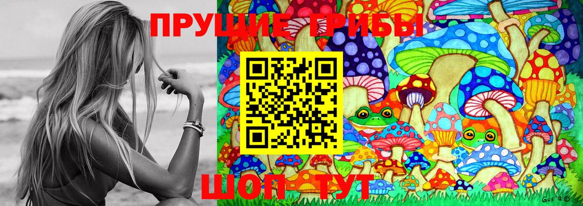 Гай  Галлюциногенные грибы MAGIC MUSHROOMS  Вход с VPN 