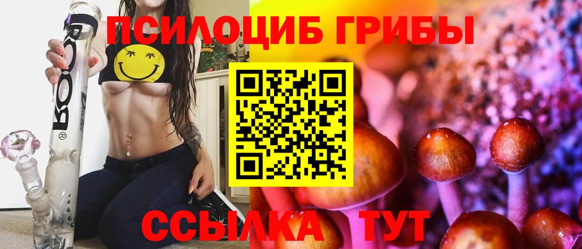 Галлюциногенные грибы MAGIC MUSHROOMS Гай
